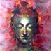 Ankur Chauhan (@ankursays) Twitter profile photo Ankur Chauhan (@ankursays) Twitter profile photo