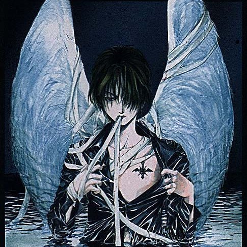 Until death do us apart~And the world ends with you~Velvet darkness they fear~Stray dogs howling in the dark~One winged angel~