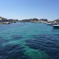 Damien Bourgeois (@damienbourgeois) 's Twitter Profile