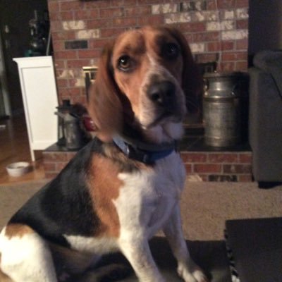 Yawlej's profile picture. 