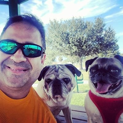 luisjosemunoz's profile picture. 