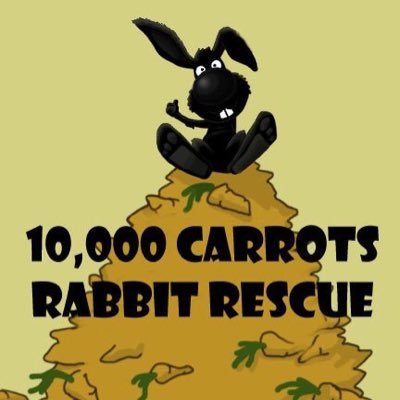 small non-profit, rescue devoted to the rescue, rehabilitation, spay/neuter, and re-homing of abandoned and unwanted domestic rabbits in Nova Scotia.