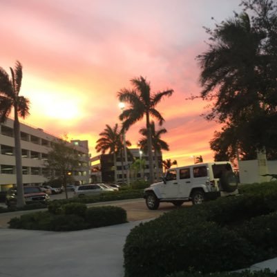 shabobshabob's profile picture. 