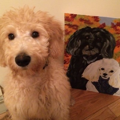 tdnMonique's profile picture. Regional editor with SaltWire Network. Wife to Joey, mommy to Wrigley. Dallas Smith fan, Christian, fishing, books, General Hospital, Dexter, Grey's Anatomy.