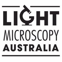 Light Microscopy Aus(@LightMicroAus) 's Twitter Profile Photo