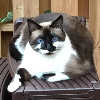 KeepsItReal24_7's profile picture. 