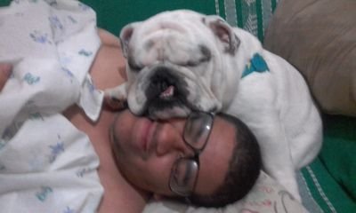 Flycshield's profile picture. 