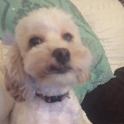 passwordismiket's profile picture. No, not that Mike Thompson