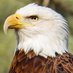 Bill Yates 📷🦉🦋🏖️⚾ (@wry999) Twitter profile photo Bill Yates 📷🦉🦋🏖️⚾ (@wry999) Twitter profile photo