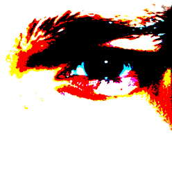 Michael van der Kamp