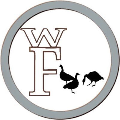 Free Music Promotion- Find music in your area!Leave Link of what you'd like promoted and state in the DM. instagram: @flkwood
