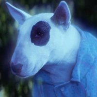 Spooky Ghost Dog 🐶 (@crooooow) 's Twitter Profile