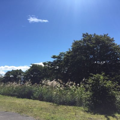 kankonm82's profile picture. 素直な生きたいです。生きます。