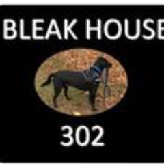 Bleak House 302