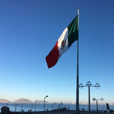 Armando6056's profile picture. 