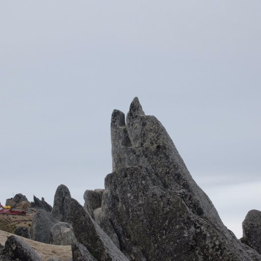 inappy_one's profile picture. 