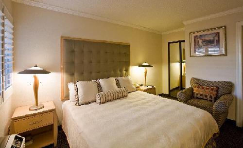 Best Hotel in San Mateo. Affordable, comfortable and great location. Get your discounts today! Call now: 650-341-9231