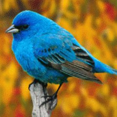 Her_1_Khabar's profile picture. Tamam khabraen logo tk pounchana.