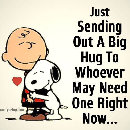 shimmerthyme1's profile picture. The story of freddie hunt has touched my heart and this twitter account has been set up for #Togetherforfreddie