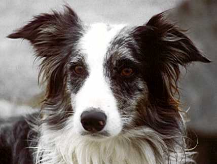 fieldnetworks's profile picture. Reliable networks, whatever your field  - is blacked out: Stand up against "Guilt Upon Accusation" for New Zealand http://t.co/BQGTCVhnVj