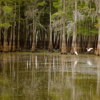 Atchafalaya_'s profile picture. A une époque j'étais de gauche. Mais là j'en ai plus les moyens!
Insulte = Blocage