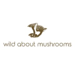 Delicious, decadent and full of flavor! We know our wild mushrooms and we source the best varieties for our customers needs. Join us on our mushroom adventure!