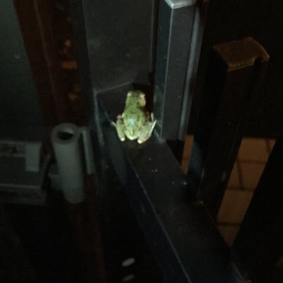 jgXTDB6bHV9xHzk's profile picture. 