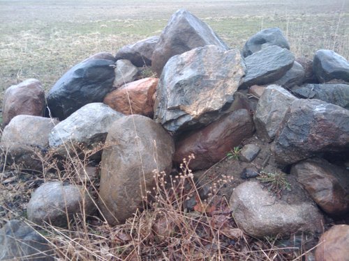 WanderingWilbo's profile picture. North American Essayist & Humorist