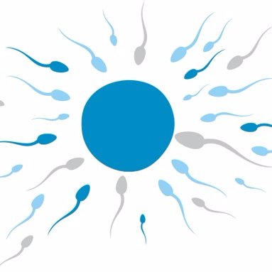 OXY-Center — это специализированная клиника репродуктивного здоровья.