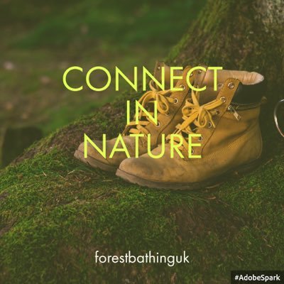 Organised mindful connections in nature. We are all connected in nature, being within nature improves health of body and mind and improves your quality of life