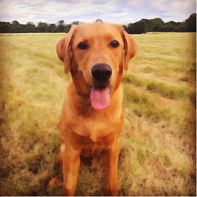 kris_rundle's profile picture. 