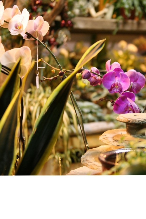 libertysunset's profile picture. 