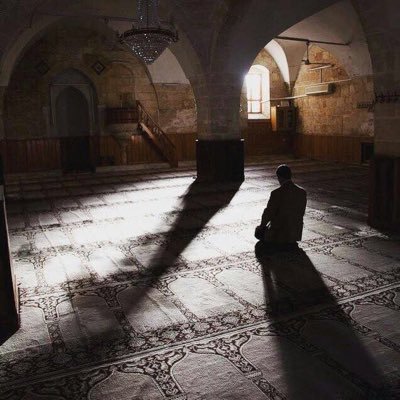 Alrgyah's profile picture. وقل ربي زدني علما