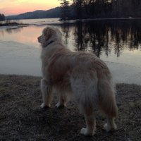 Blue Par (@bluepar1) 's Twitter Profile