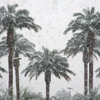 I'm a frozen Palm Tree!
Proud to be an American 🇺🇲 disgusted by corruption & hypocrisy
Military industrialists & bankers are driving us toward destruction