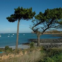 gite Bretagne(@gitenbretagne) 's Twitter Profile Photo