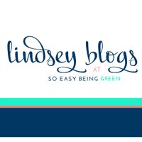 Lindsey G. (@sebgblog) 's Twitter Profile