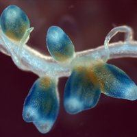 Manuel González-Guerrero @manuelgg1977.bsky.social (@manuelgg1977) 's Twitter Profile Photo