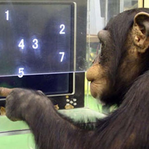 sisifolibre's profile picture. 