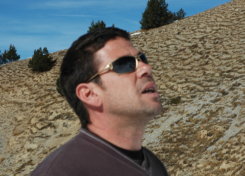 dynamoland's profile picture. 