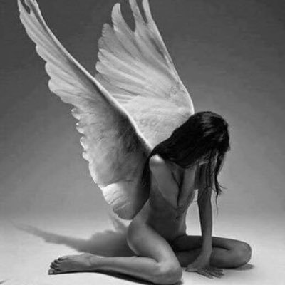 pan1958_peter's profile picture. Isola che non c'è