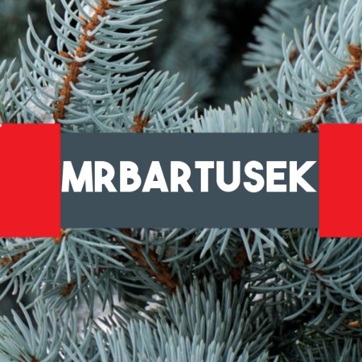MrBartusek's profile picture. How to use this thing? 🌐  Full-Stack Web Developer 🚀 Typescript - React - Node.js