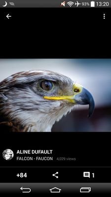 Saturno0000's profile picture. 