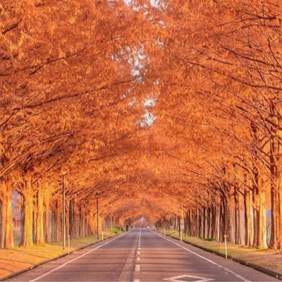 ILKEMOZGEM's profile picture. 