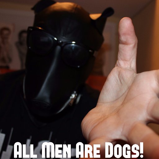 PoliticalDogYT's profile picture. Btw, I don't actually mean what I say in the pic. Woof Woof Fuck Feminism.  Sub to my YT Channel -  https://t.co/L9I74JVQm3