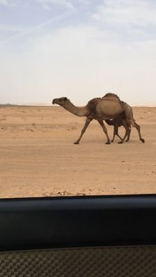 ياعيال سحيم يامفخرة كل اقحطان
ياشيوخ الشمل ياعزوة ابن قرمله
والله انكم تاج راسي وراسي مايهان
العدو لاشافكم قام يدعس فرمله
