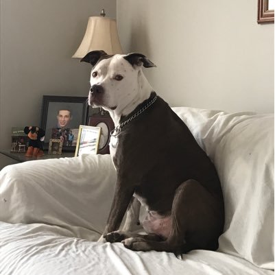 Jewelll15's profile picture. this is my part nobody else speak. 1102