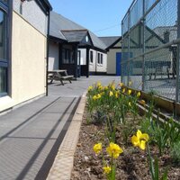 St Kew CP School (@stkewcpschool) 's Twitter Profile