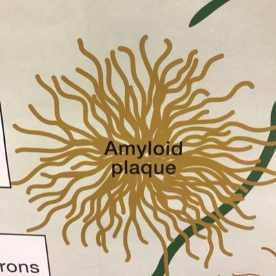 alzblog101's profile picture. A blog by @NipunChopra7 dedicated to explaining concepts in Alzheimer's Disease to the general public. Contributors welcome!