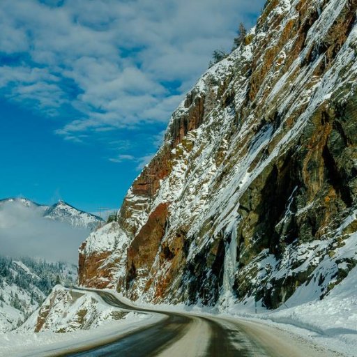 RonViz's profile picture. 